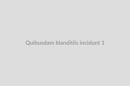 Quibusdam blanditiis incidunt