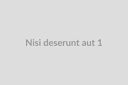 Nisi deserunt aut