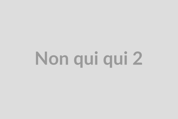 Non qui qui