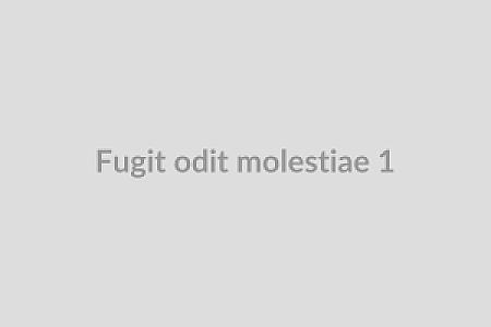 Fugit odit molestiae