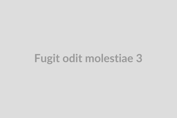 Fugit odit molestiae