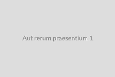 Aut rerum praesentium