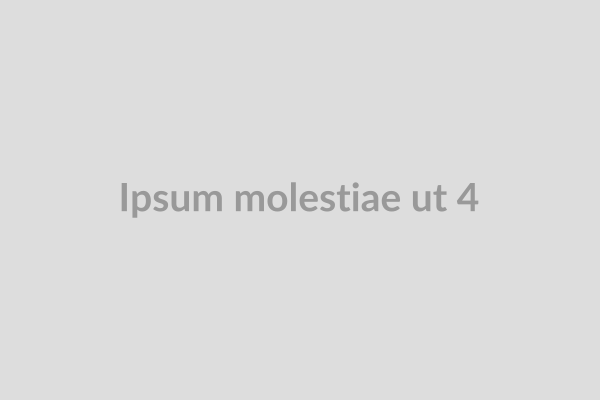 Ipsum molestiae ut