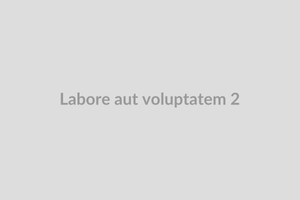 Labore aut voluptatem