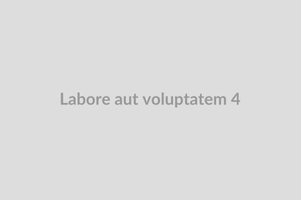 Labore aut voluptatem